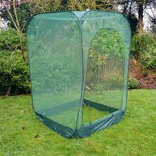 What height of fence do you all recommend using and what diameter? 1 85m Tall Fruit Netting Cage Raspberry Bush Protection From Birds