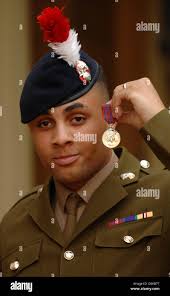 Investiture ceremony buckingham palace hi-res stock photography and images 