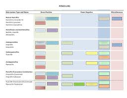 Bug Drug Chart Penicillins Diagram Quizlet