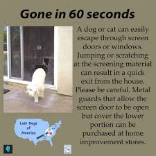 Our staff will then analyze your case and create a professionally designed. A Dog Or Cat Can Easily Escape Through Screen Doors Or Windows Jumping Or Scratching At The Screening Material Can R Losing A Dog Gone In 60 Seconds Pet Hacks
