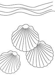 Llll➤ hundreds of printable shell coloring pages and books. Three Beautiful Kittens Paw Seashell Coloring Page Download Print Online Coloring Pag Sea Shell Coloring Pages Seashell Coloring Pages Shell Coloring Pages