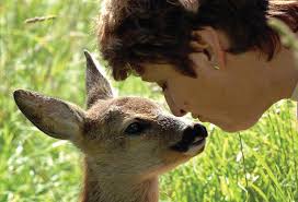 SWWR_Wildlife_Treatment_Centre_Appeal_Brochure_0620_Layout 1