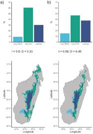 Image result for Loudetia simplex