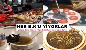 Anadolu Haber Cinlilerin Yedigi Yemekler Sosyal Medyaninda Gundeminde