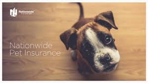 What does nationwide pet insurance cover. Uci Human Resources Uci Human Resources Pet Insurance