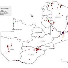 Image result for Crotalaria pseudotenuirama