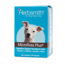 Dr Candy Recommends This Probiotic Supplement For General Purposes Immune Support Pancreatitis And Stress Diarr Cat Probiotics Probiotics For Dogs Digestion