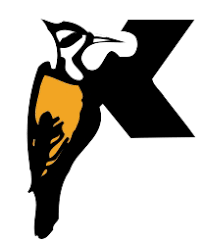 To that end, we are pleased to present a new vision for keystone xl — an infrastructure project that will serve as the gold standard for sustainable development, while delivering the energy north americans need, now and in the future, in a socially responsible manner and to the highest safety and environmental standards. Keystone Foundation
