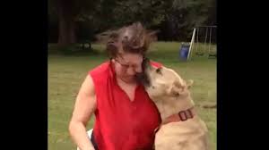 La jeune femme a été retrouvée morte dans les bois, dévorée par des chiens. Un Chien Policier Attaque Une Femme Innocente