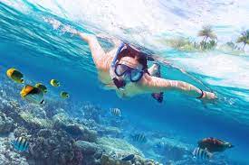 The Best Things To See And Do In Phi Phi Island Thailand Best Snorkeling Beaches In Phuket Thailand Beaches