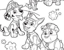 Puppy, dog, wolf, kitten, unicorn, coloring pages for kids, my little pony. Paw Patrol Coloring Pages Coloring Pages For Kids And Adults