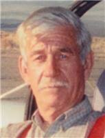 David Borth Obituary