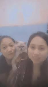 Dede Marshall Sygsnowa