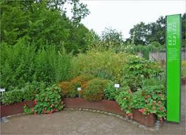 Ein nicht zu großer, teilweise im umbruch befindlicher botanischer garten mit einem großen, offenen gelände und vielen. 28 April Fruhjahrspflanzenborse Im Botanischen Garten Heinrich Heine Universitat Dusseldorf