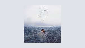 Shawn Mendes Wonder Album Review Variety