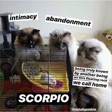 25 Scorpio Memes That Are So Accurate It S Like Looking In A Mirror Scorpio Zodiac Facts Scorpio Zodiac Quotes Scorpio
