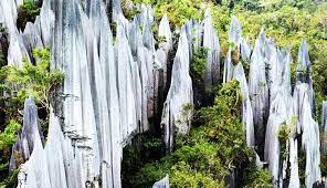 Merupakan tulang belakang bagi semenanjung malaysia. 7 Gunung Tertinggi Di Malaysia Adi Channel