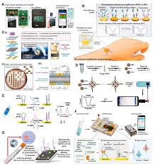 Chemosensors | Free Full-Text | A Review on Potential Electrochemical  Point-of-Care Tests Targeting Pandemic Infectious Disease Detection:  COVID-19 as a Reference