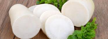 Il sapore del daikon è molto simile a quello del ravanello, ma leggermente più dolce. Come Cucinare Il Daikon Misya Info