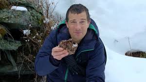 you can make bear grylls eat poo on his