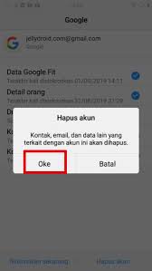Cara Menghapus Akun Google Di Semua Hp Vivo