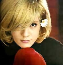 Sylvie Vartan Vintage Haircuts 1960s Hair Rock And Roll Girl