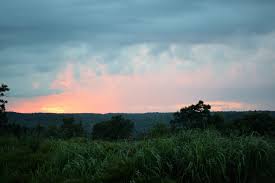 Maybe you would like to learn more about one of these? Big Pocono State Park Tannersville Pa 18372