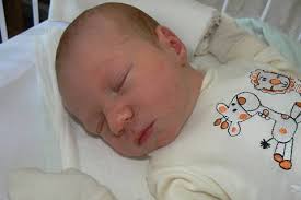 FOTO: Právě jsme se narodili!