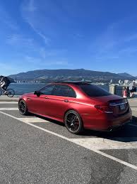 Image result for Hyacinth Red 2016 B