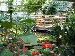 Der potsdamer botanische garten blickt zwar als institution der universität auf eine junge geschichte zurück, ist aber durch seine geografische lage im schlosspark sanssouci mit dessen kolonialgeschichten verwoben. Bewertungen Botanischer Garten Potsdam In Potsdam Holidaycheck Seite 1