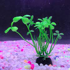 We did not find results for: Wholesale Hot Sell Aquarium Fish Tank Decoration Plastic Artificial Aquarium Plants Buy Artificial Aquarium Plants Product On Alibaba Com