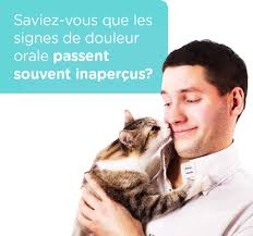 Clinique vétérinaire du littoral