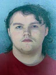 Lithia teen accused of making erroneous 9-1-1 calls