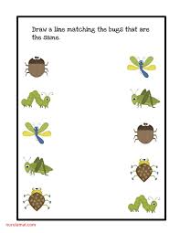Preschool Bug And Insect Worksheets In 2020 Bugs Preschool Insects Theme Preschool Insects Preschool