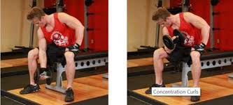 Evde Hizli On Kol Kasi Gelistirme Egzersizleri Biceps Uzman Tedavi