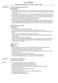 See sample resume objective statements for 100+ careers. Sports Resume Samples Velvet Jobs