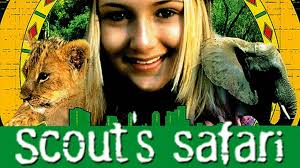 Scout's Safari