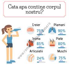 Nu conteaza absolut deloc ca bei doi litri la sala de sport, daca in timpul zilei nu ai baut nici macar un pahar. Oare Trebuie Sa Bei Apa Primul Lucru De Dimineata
