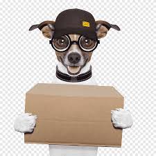 Sniffing for fresh dog food delivery? Dog Food Delivery Pet Food Cat Food Deliveryman Wang Star Carnivoran Pet Png Pngegg