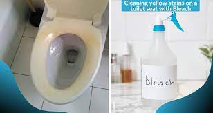 Cleaning Yellow Stains On A Toilet Seat With Bleach Toilet Seat Toilet Toilet Cleaning Hacks