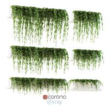 Ivy On The Shelves 3d Model Hanging Flower Pots Ivy Plants Hanging Flowers