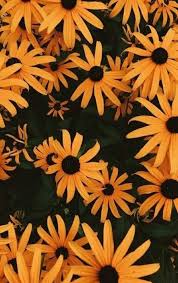 Aesthetic Pattern Black And Yellow Background Aesthetic Painting Aesthetic Orange 35 Ideas Flower Wallpaper Wallpaper Backgrounds Iphone Background