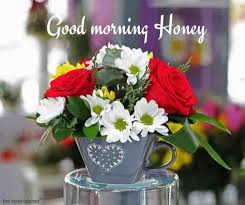 Excellent morning is the very best approach to say hello to your relatives and. Top 20 Beautiful Good Morning Rose Images For Status