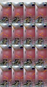 Queens of Porn: Exclusive Adult Films at Noudzawi