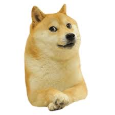 Search Free Transparent Pngs Stickpng Meme Faces Doge Dog Funny Animal Memes