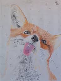 Original Pencil Design With Red Fox Portrait Gift Idea For Animal Lovers Or Wall Decoration Disegno Volpe Disegni E Volpe Rossa