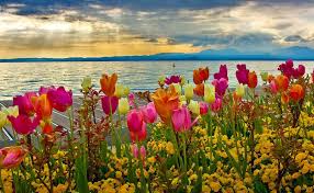Spring nature images avacyn sea turtles. Spring Scenery Hd Desktop Wallpapers Top Free Spring Scenery Hd Desktop Backgrounds Wallpaperaccess