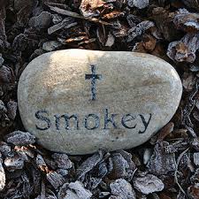 Many localities that allow burial have rules intended to protect the environment. A Home Pet Burial Is No Longer Your Only Option As A Pet Owner