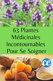 Questions fréquemment posées par les femmes. Epingle Sur Remedes Naturels