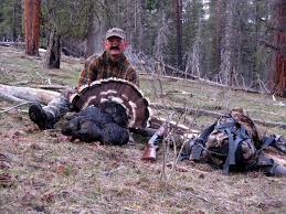 Backcountry bowhunting book $34.95 backcountry bowhunting was written with the hard working adventuresome bowhunter in mind. Backcountry Turkey Hunt Colorado Outdoors Online